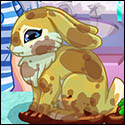 Crystal Adopts a Bunny